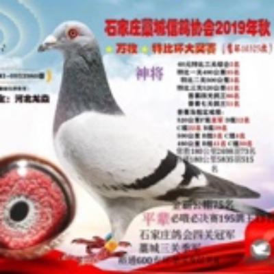 ˫�ؼ��������Ǿ�