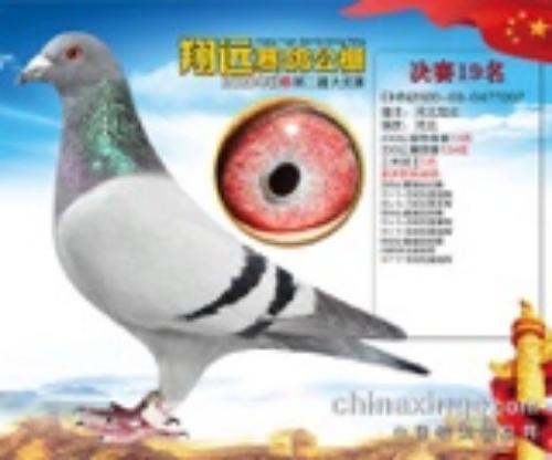 �������5��