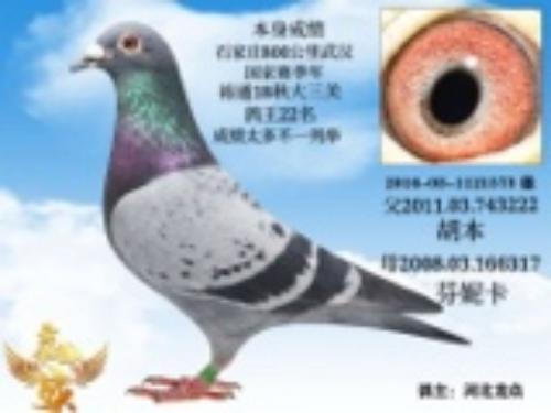 800�������������