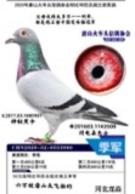 �ھ���������