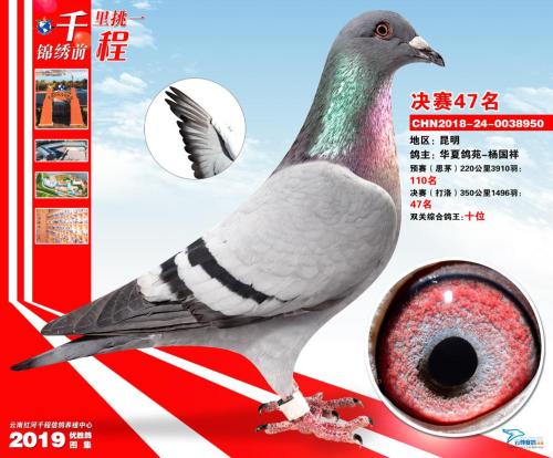 �����ϴ���Ƭ