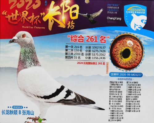 �Ҹ����๫