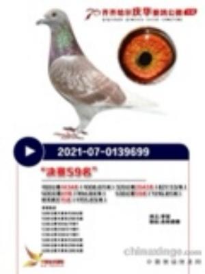 ˫�ظ���15��