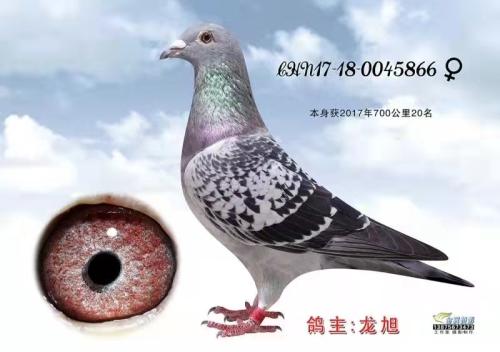 ����700����20��