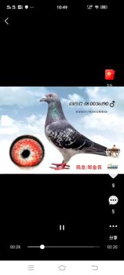 С��ȸ  500����8��