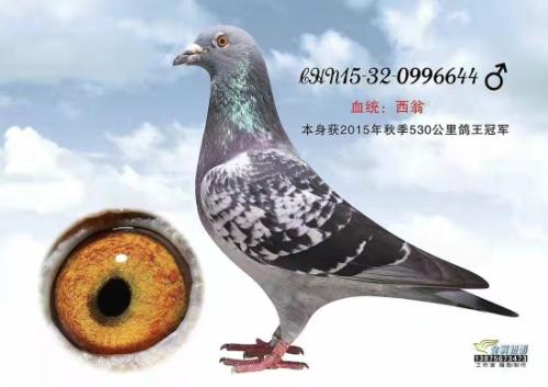 ���� 530����ھ�