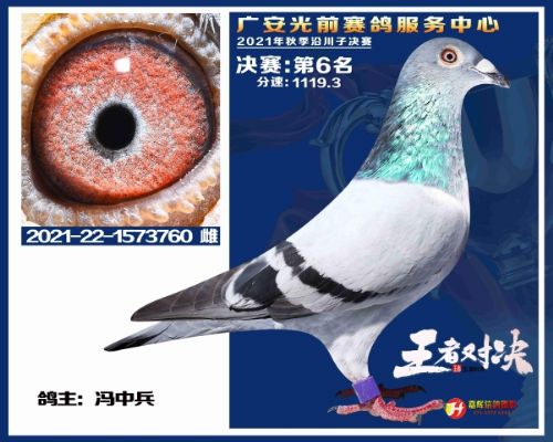 ������ҫ