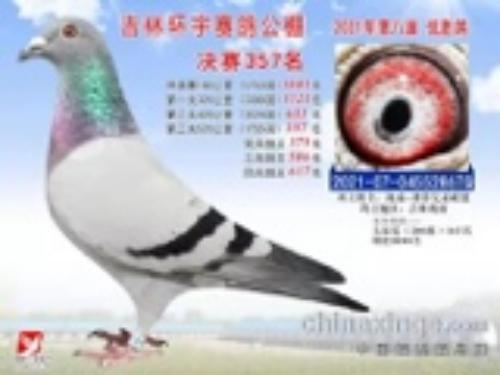 ���� �ҵ���