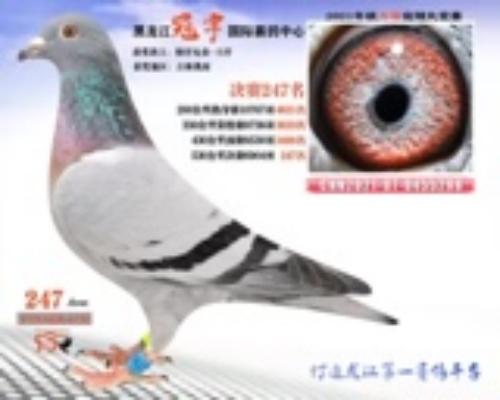 ���� �ҵ���