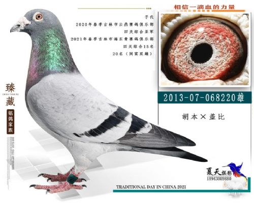 ��ѫ��һ����