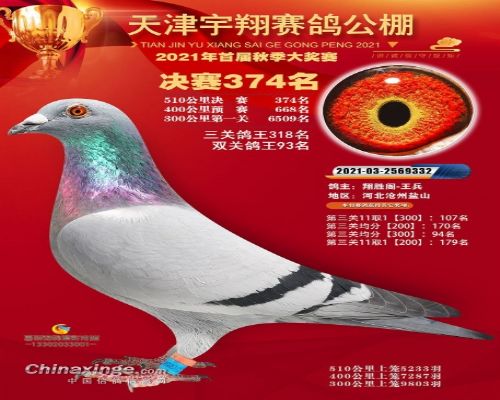 ����374��