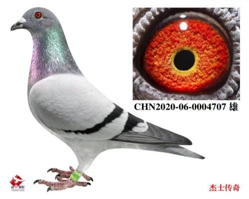 ���Ƕ���