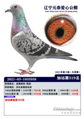 Ԫ̩�����վ��319