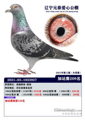 Ԫ̩�����վ��209