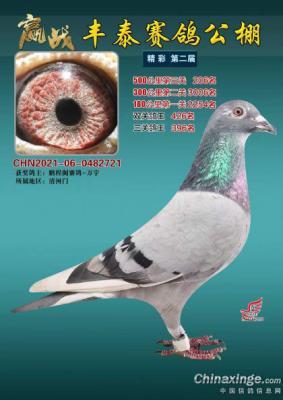 ��̩����С��