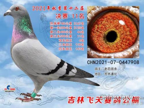 ���칫�����4��