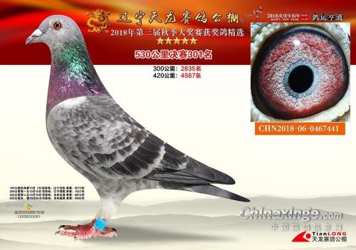 ��������301��