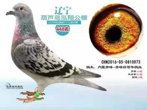 ����448��