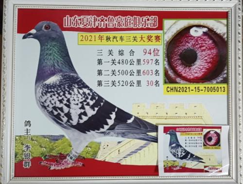 ��³��ͥ94��