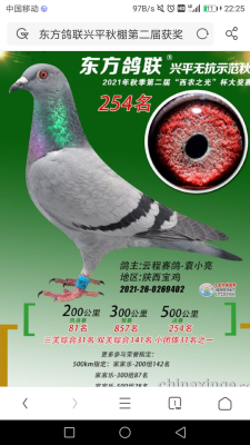 254
