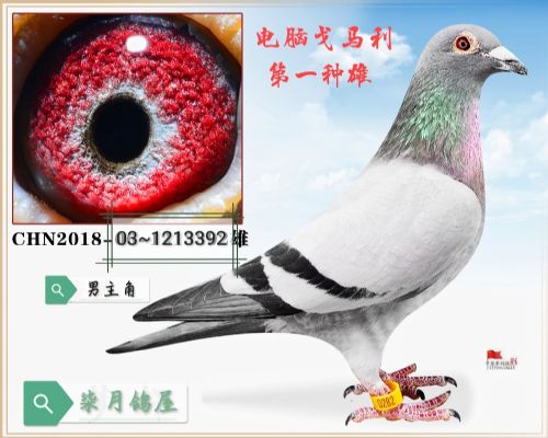 ��һ����