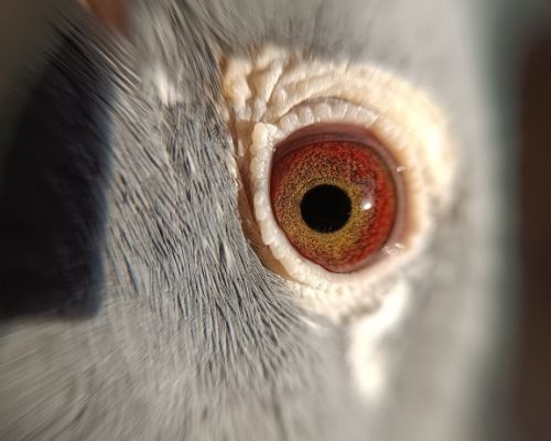 ����ִ�