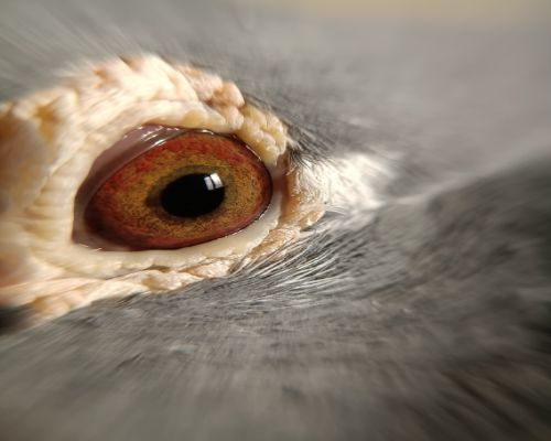 �������