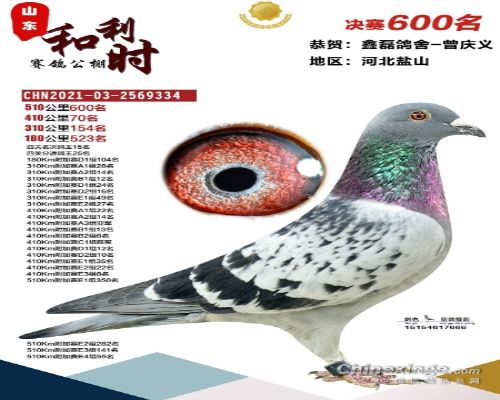 ɽ������ʱ����600��