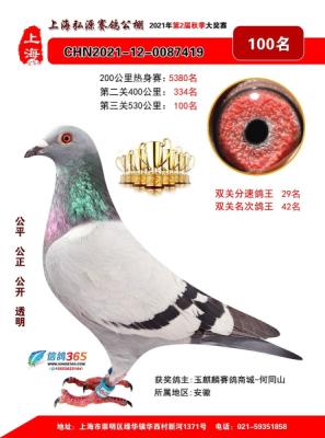 �Ϻ���Դ��һ���һ��