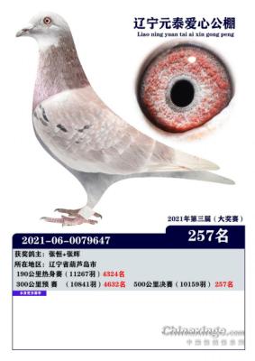 �˵�����˹������˹������