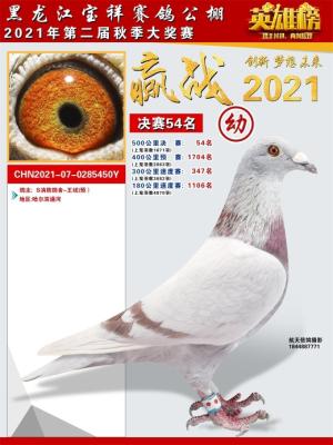 ���鹫������׸�54��