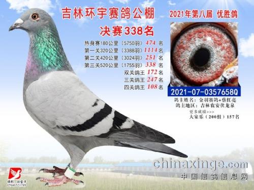 ��������338��