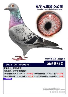 18���ڳ�8��ͬ�ѡ�����˹������