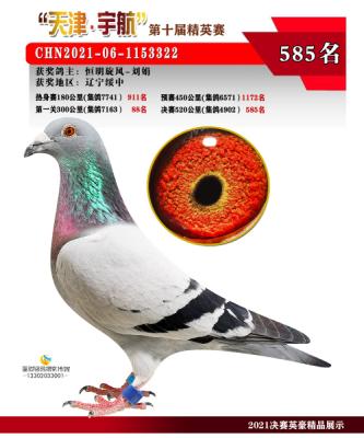 20������75��ͬ��ĸ����