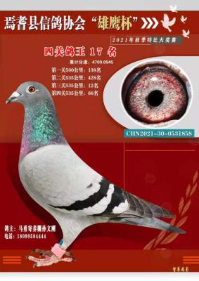 ����17��