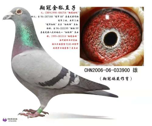 ��ڽ��ֱ��