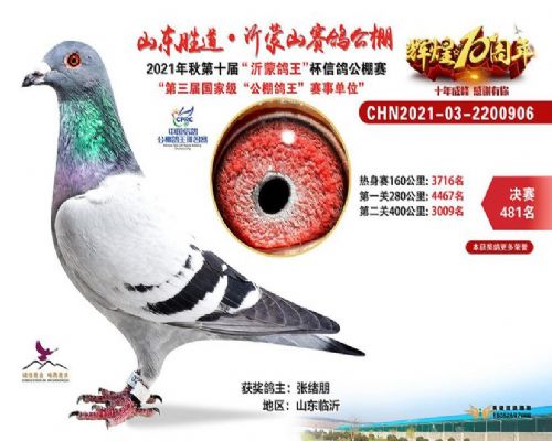 ɽ��ʤ������481��