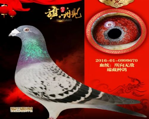 �����޵�