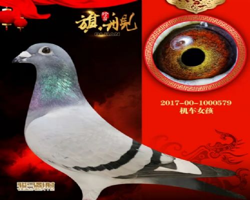 ����Ů��