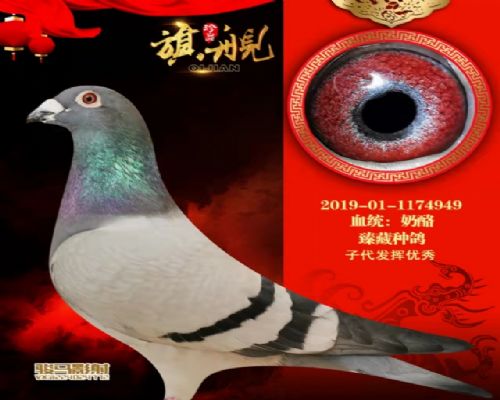 �����ָ�