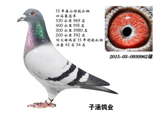 ��ǿ���ھ�