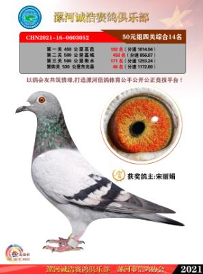 50Ԫ�����ʮ��