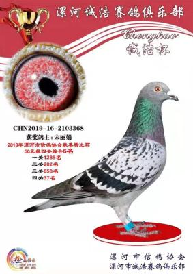 50Ԫ���������