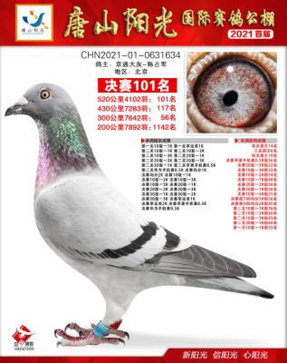 �����36���۸�*��Һز���20