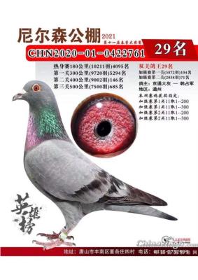 ����*�԰�