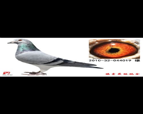 ����751ֱ��