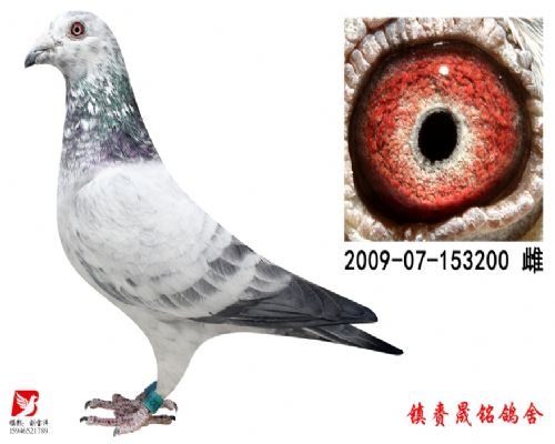 ����751ֱ��Ů