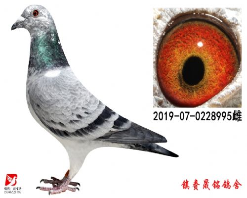 ����751����Ů