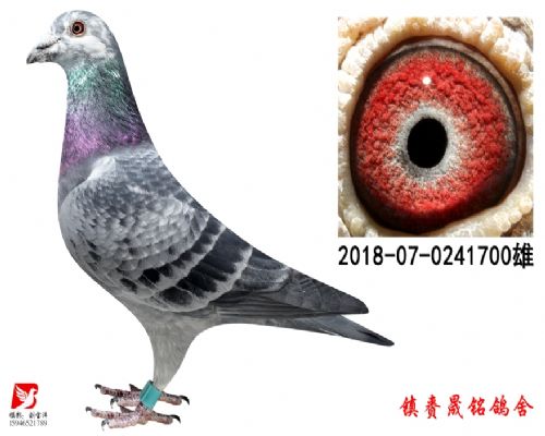 ����751����