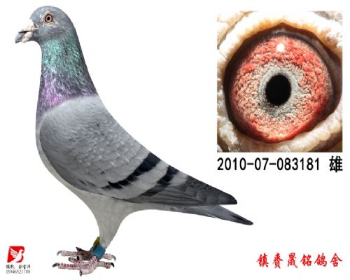 ����751ֱ��